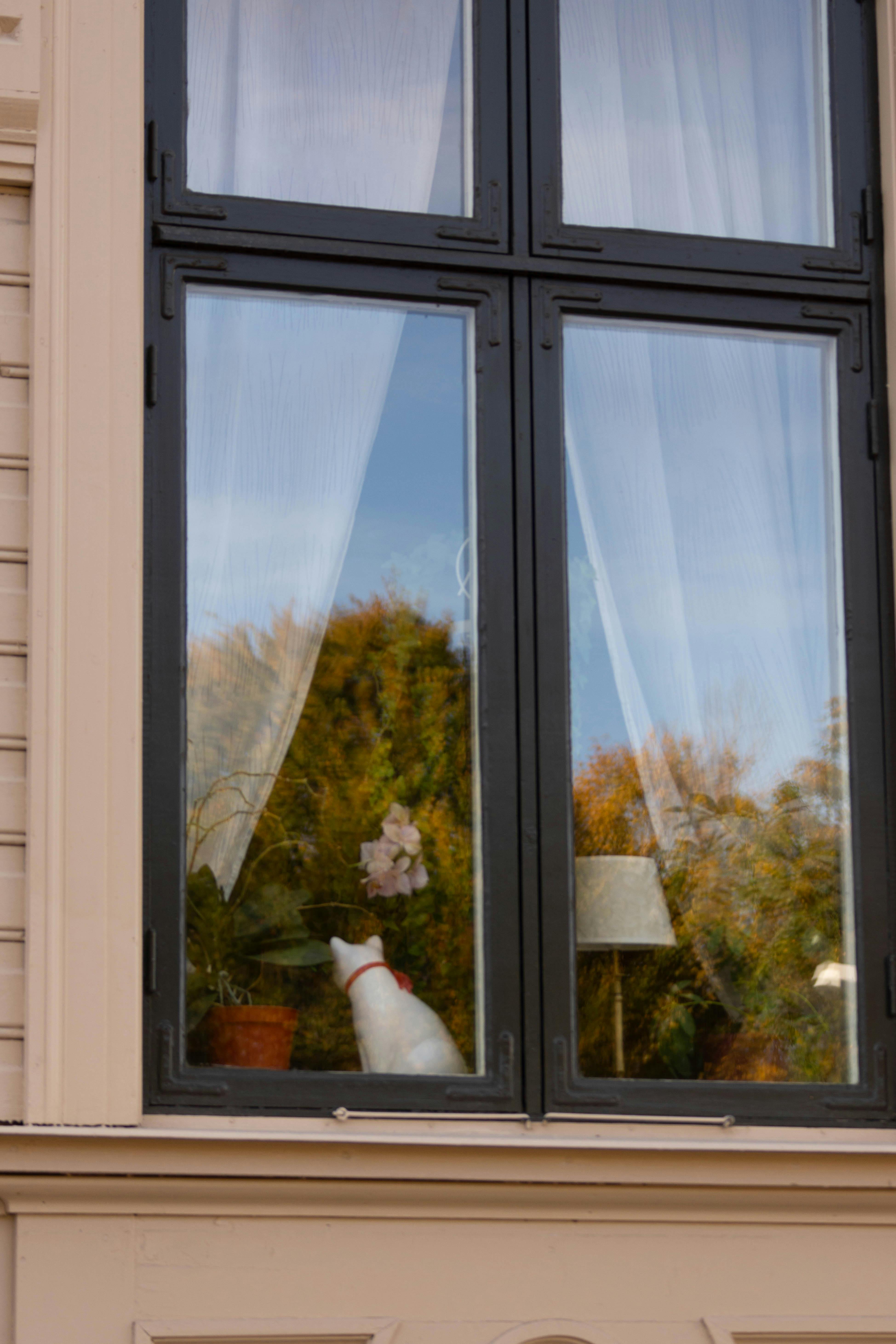 Light tint film installed on house window